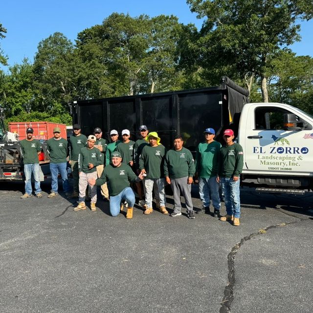 El Zorro Tree Service Landscaping & Masonry Inc.