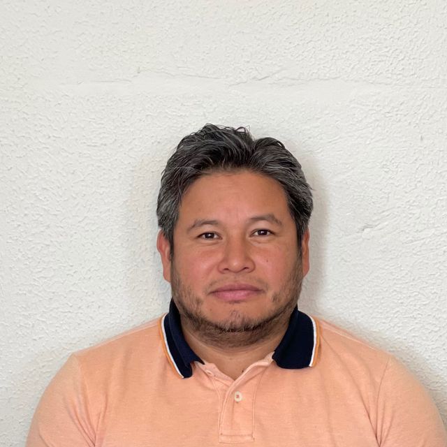 Elmer w sorto