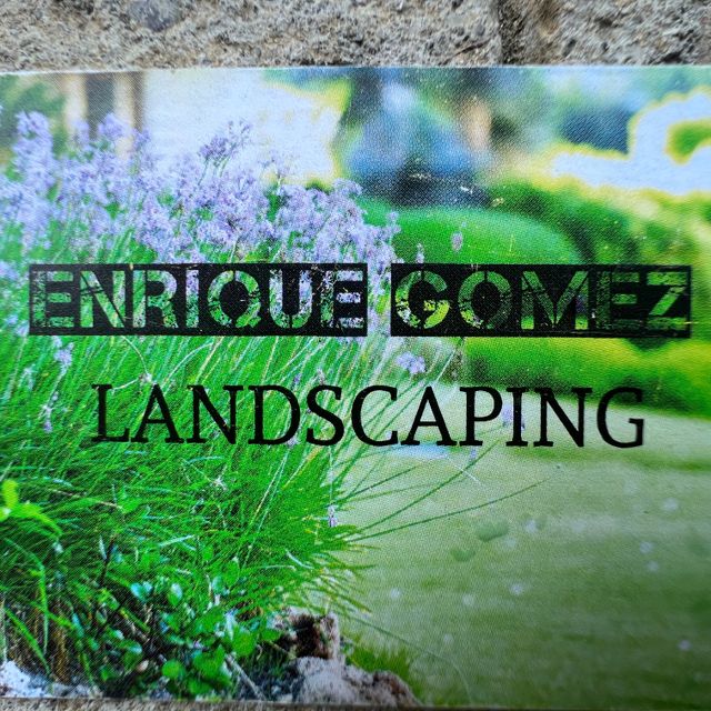 Enrique Gomez Landscaping and construction