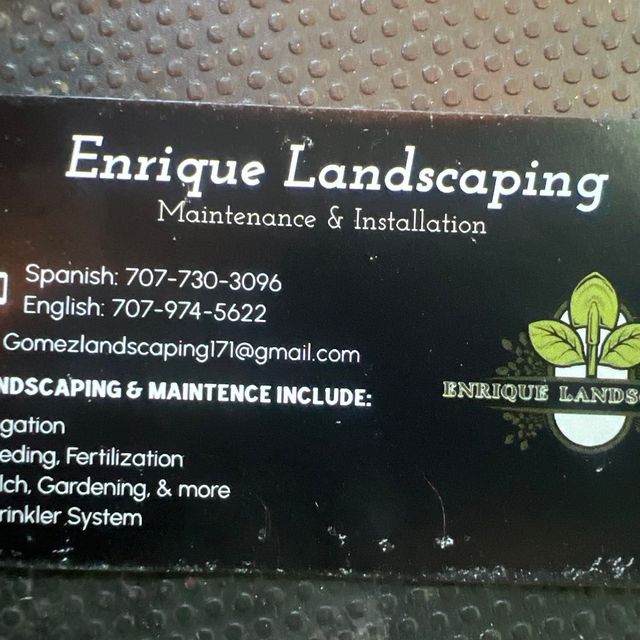 Enrique Landscaping and installation