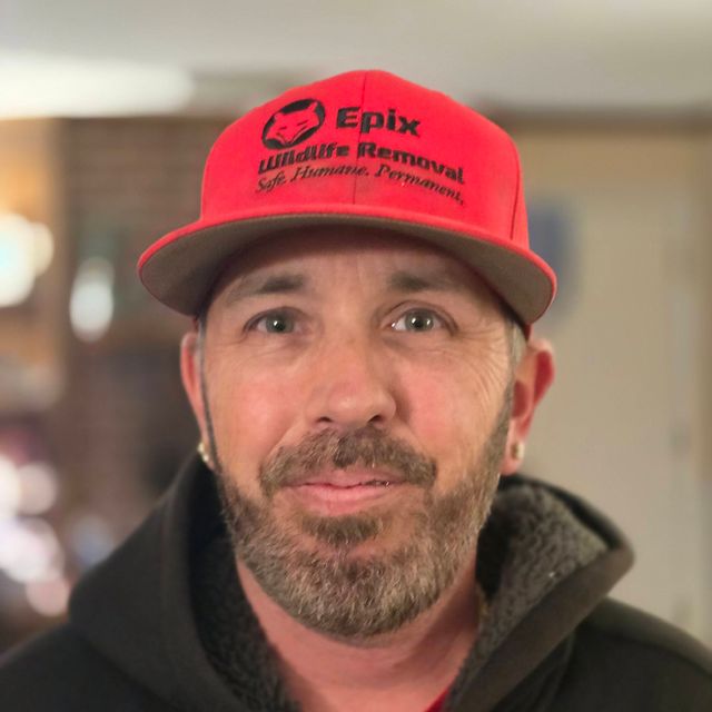 Epix Wildlife Removal