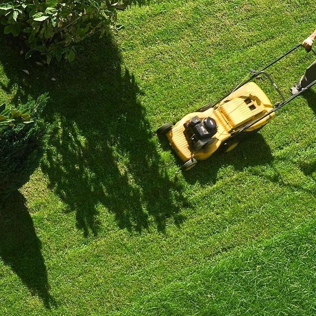 Escobar’s landscaping