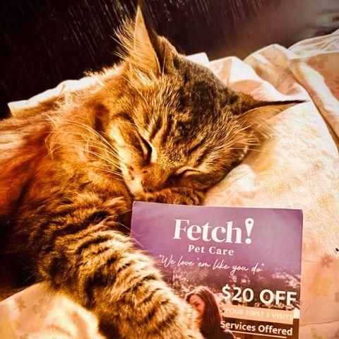 Fetch Pet Care of East Hollywood