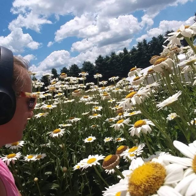 Fields Landscaping & Handygal