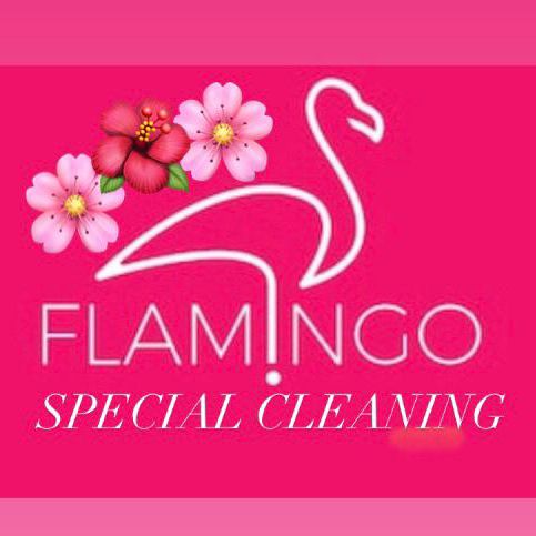 ??Flamingos Special Cleaning ??