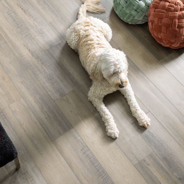 Floor Coverings International Metro Twin Cities