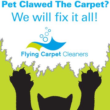 Flying Carpet Cleaners ,LLC
