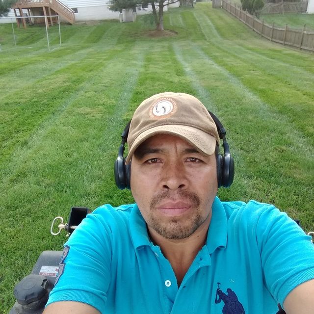 Francisco landscaping