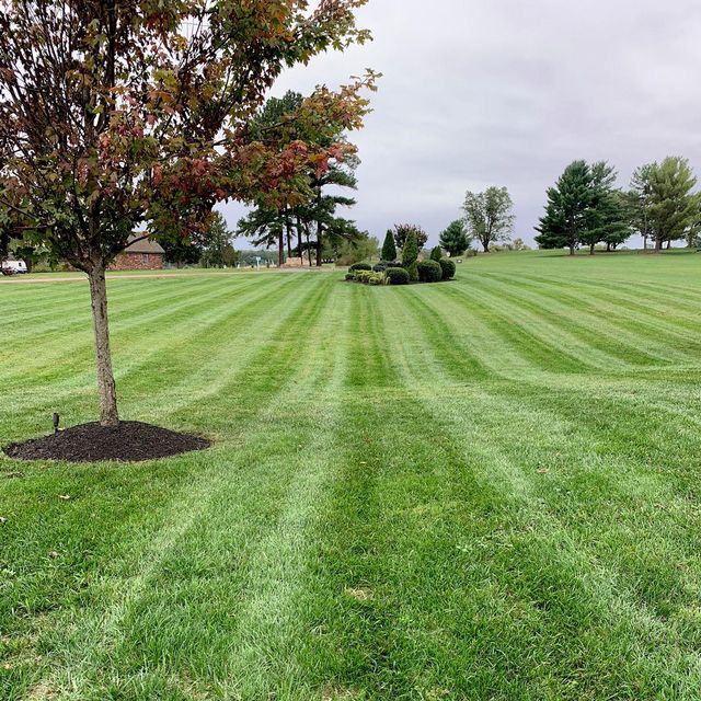Freedom Lawn & Landscape