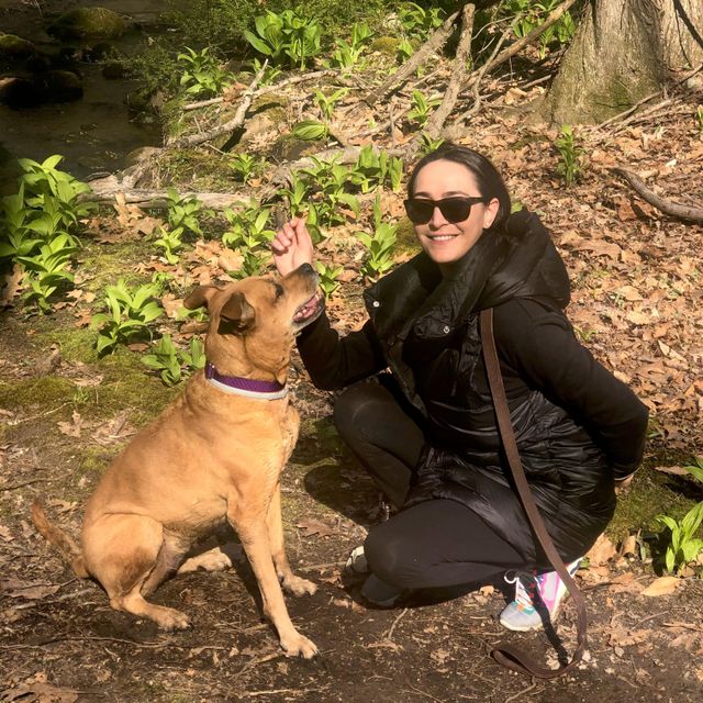Furever Training