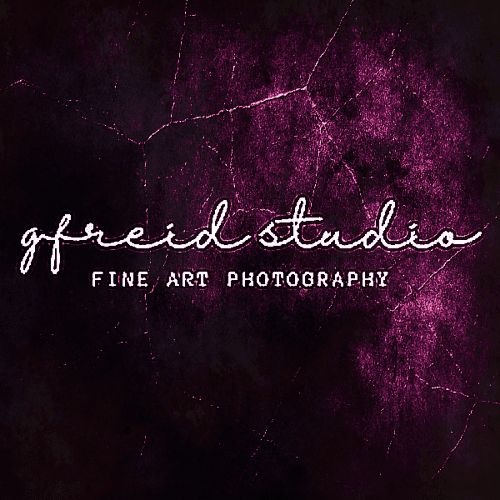 GFreid Studio