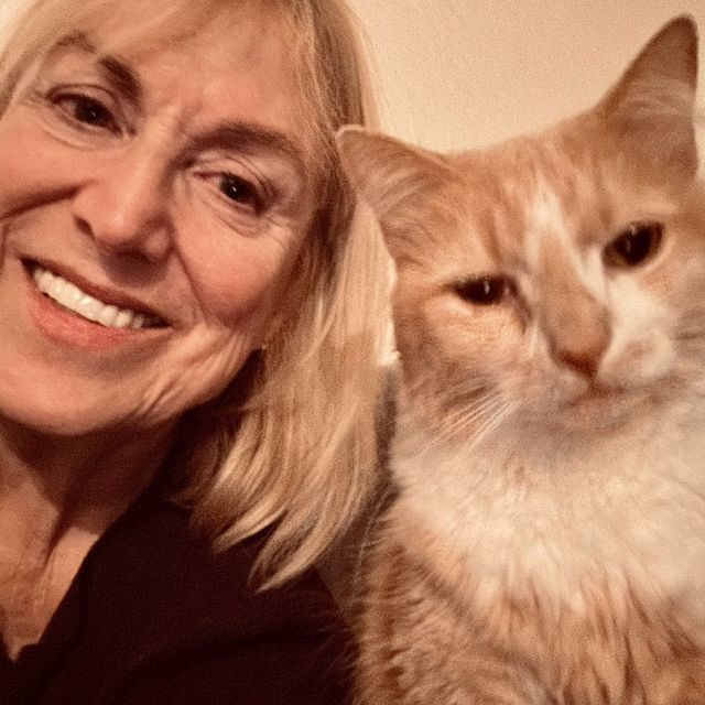 Ginny’s Professional Pet Care