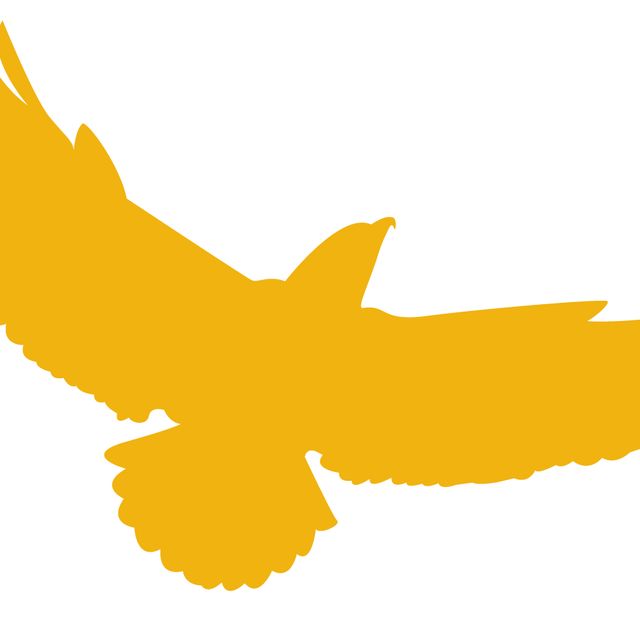 Golden Eagle Renovation