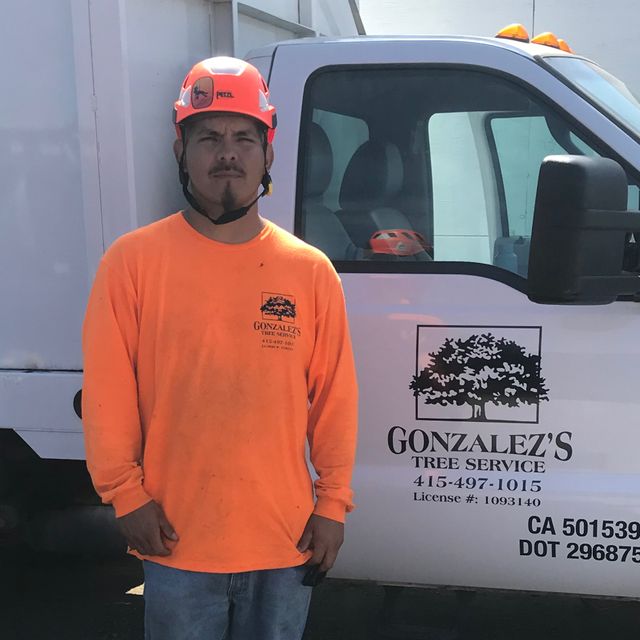 Gonzalez’s Tree Service