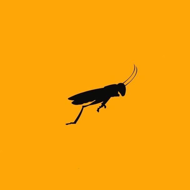 Grasshoppers Solutions