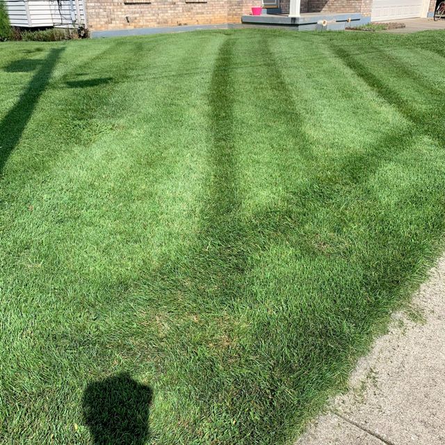 Greg’s Mow and Go