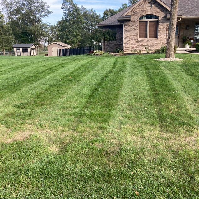 Grimes Green Care