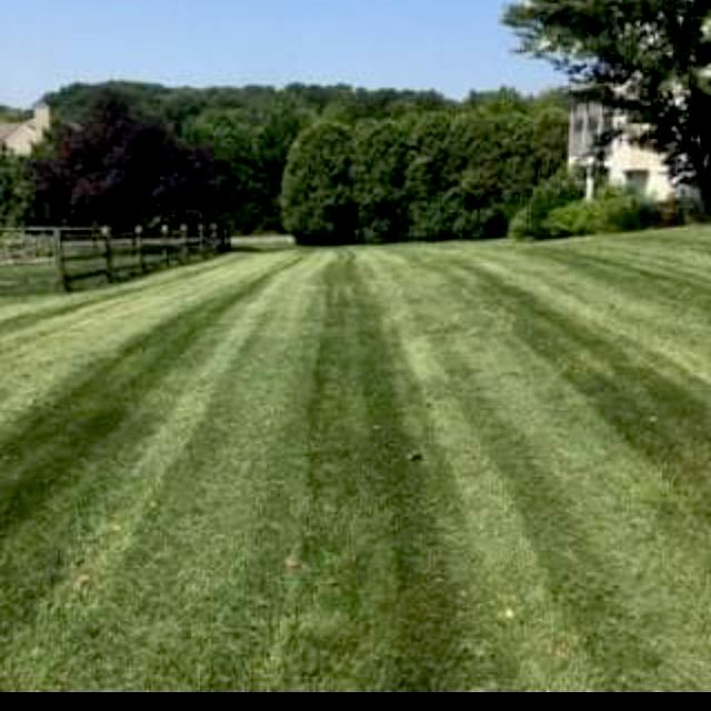 Grow N Mow