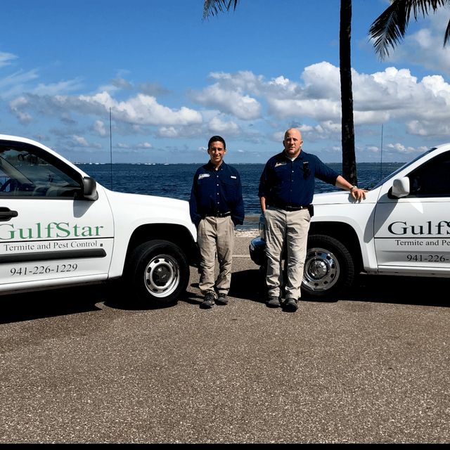 Gulfstar Termite & Pest Control, LLC