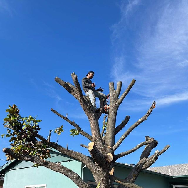 Gutierrez Landscaping