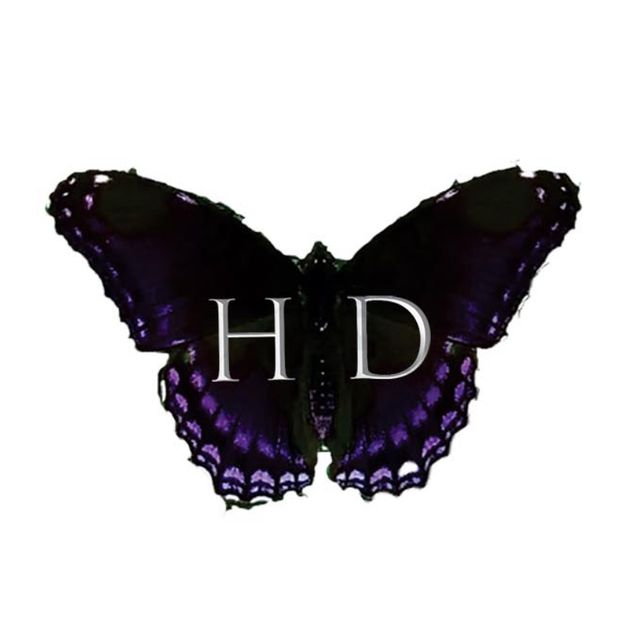 Hair Dressed Salon LLC