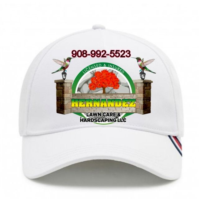 Hernandez Lawn care & Construction LLC