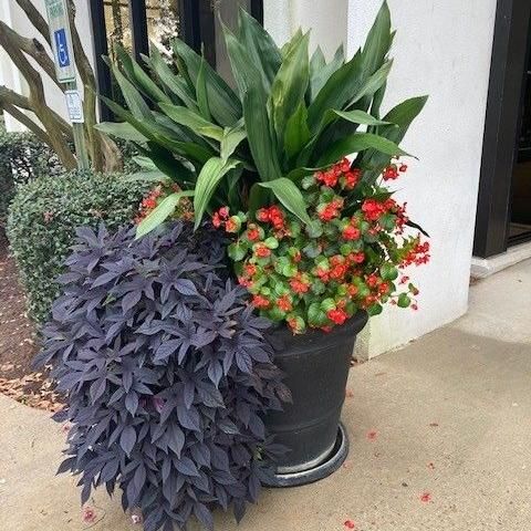 Homegrown Landscaping