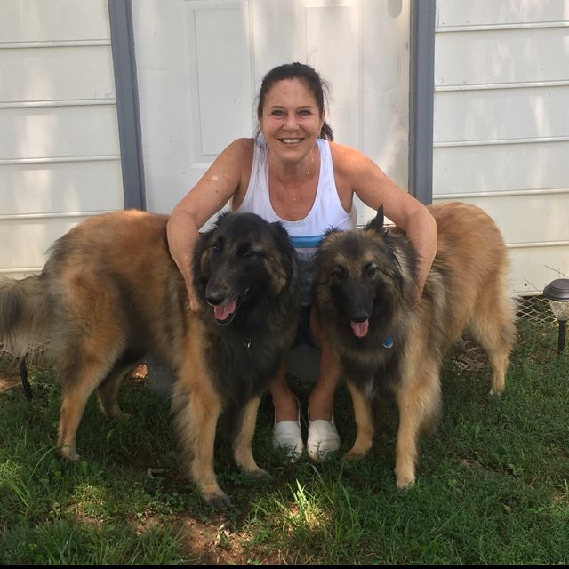Hounds & Home