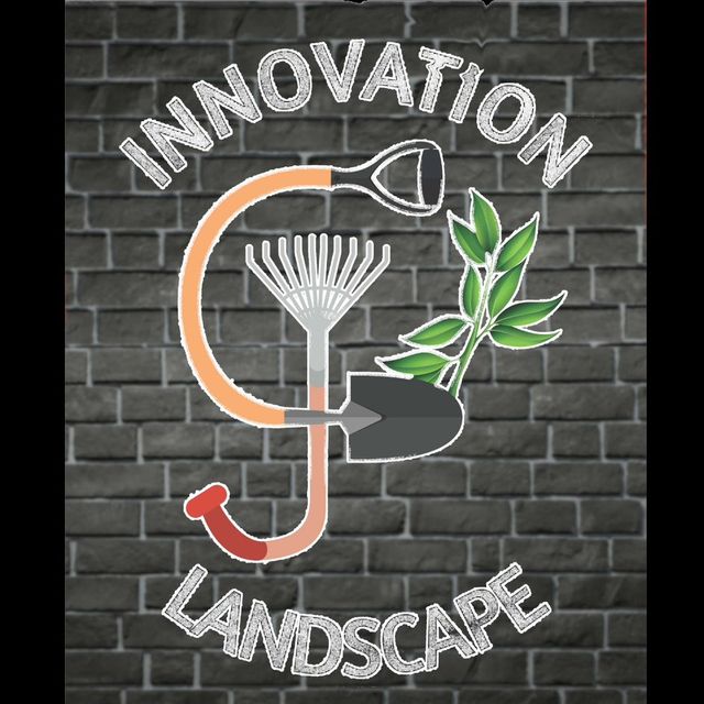 Innovation JC landscape