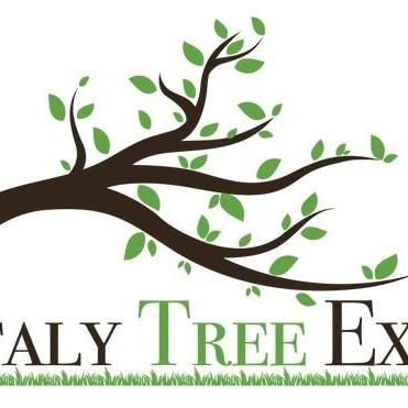 Italy Tree Expert