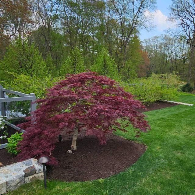 J & O Green Services LLC