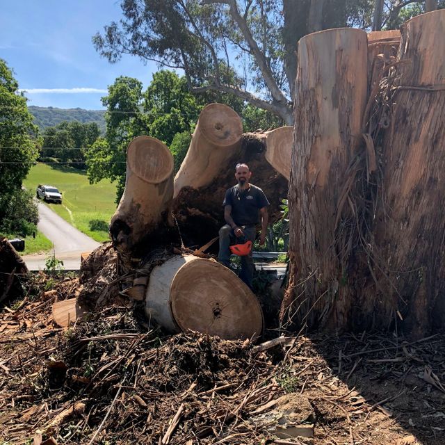 J.C. Tree Service LLC
