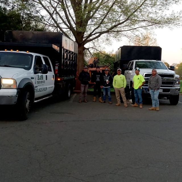 JD Tree Service