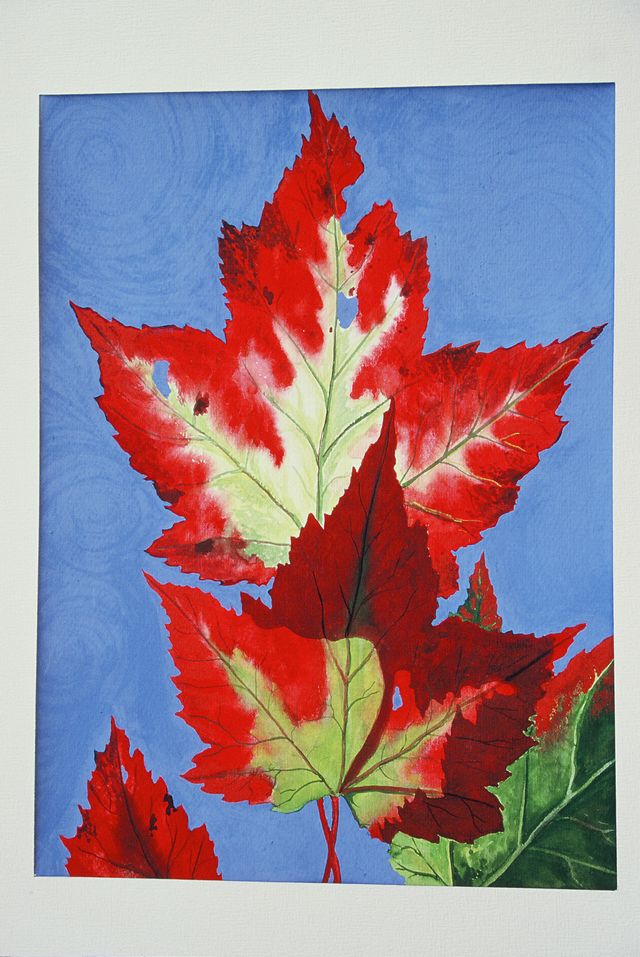 Jeanette Green