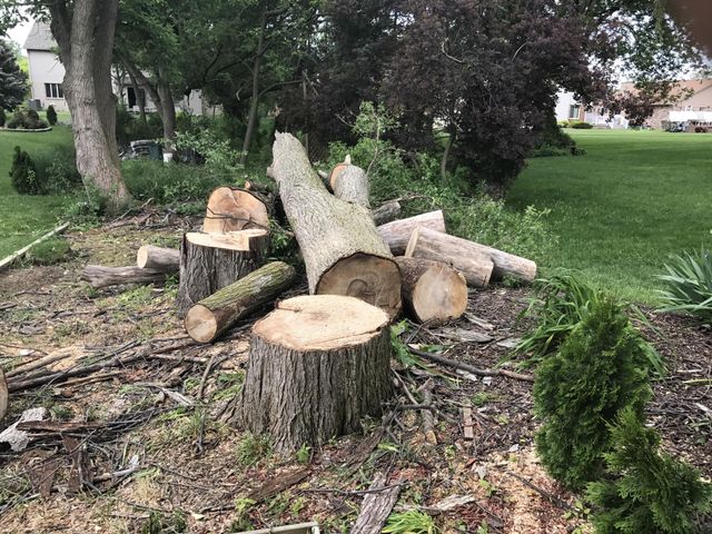 Jef. R. Maintenance &Tree Service
