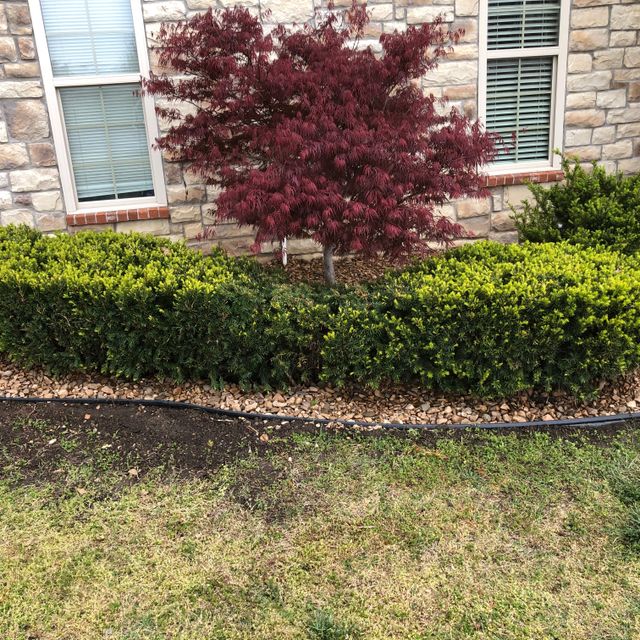 JoMo Grass Pro