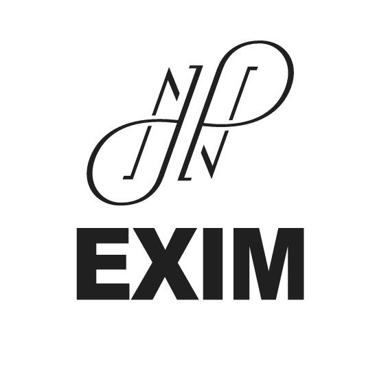 JPN EXIM LLC