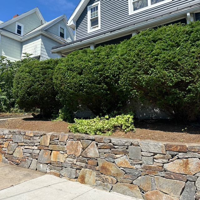 K J A Landscaping &tree services