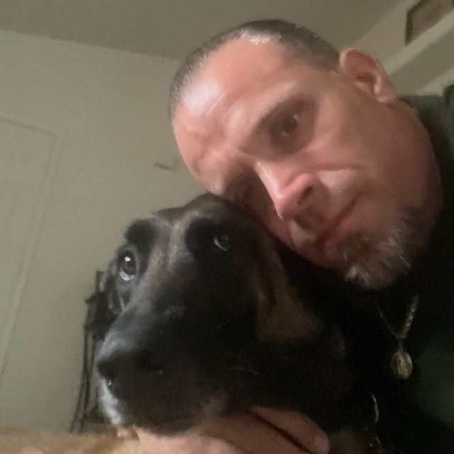 King s Corner Dog Trainer