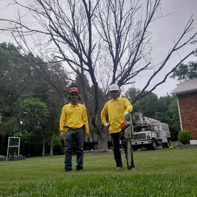 KL Tree Services