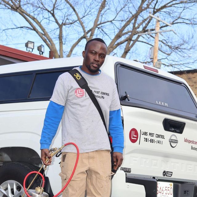 Labs pest control