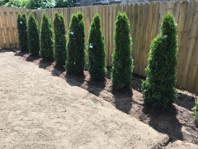 Landscaping Image LLC