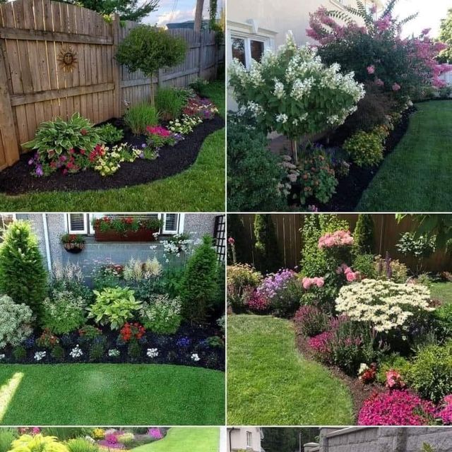 Lawn geekz