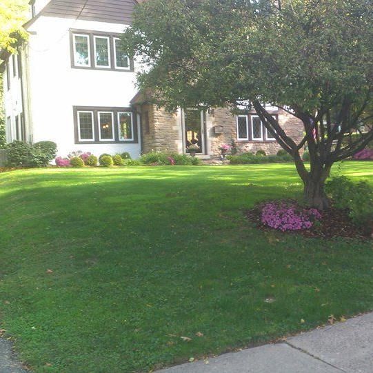 Lawn Sprinklers