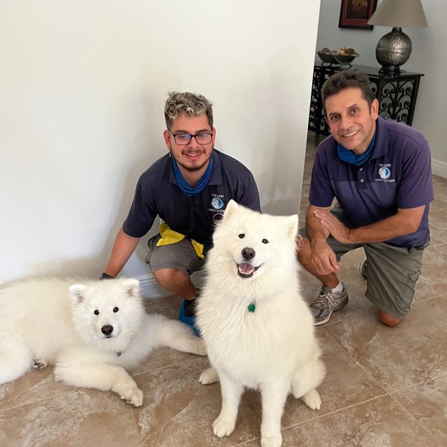 The Lion Carpet, Tile, and Upholstery Cleaning