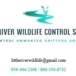 Little River Wildlife Control Services