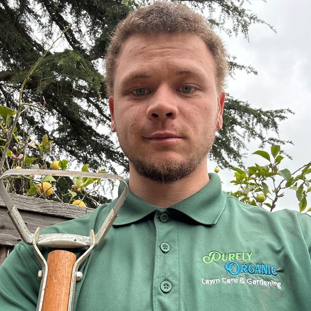 Local Dump & Haul Pros