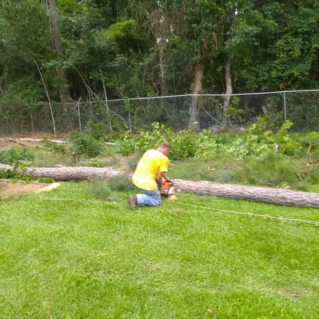 Lonnie and jimmy's tree service and sod