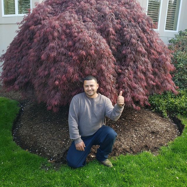 Lopez Landscaping Full Services