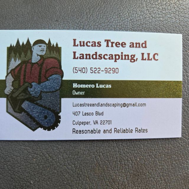 Lucas Tree & Landscaping LLC